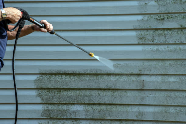 Best Driveway Cleaning and Restoration in Bayou Vista, LA
