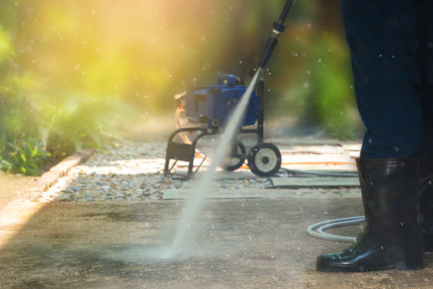 Best Roof Cleaning and Mildew Removal in Bayou Vista, LA